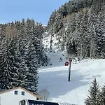 Traumblick -familie Seber
