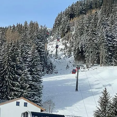 Traumblick -familie Seber