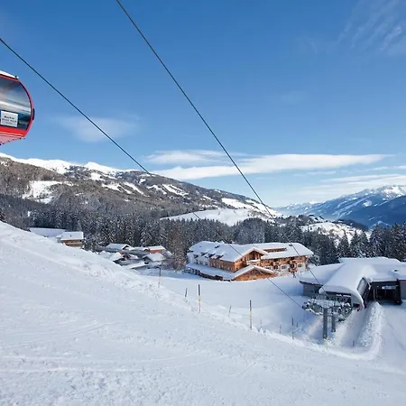 Traumblick -familie Seber